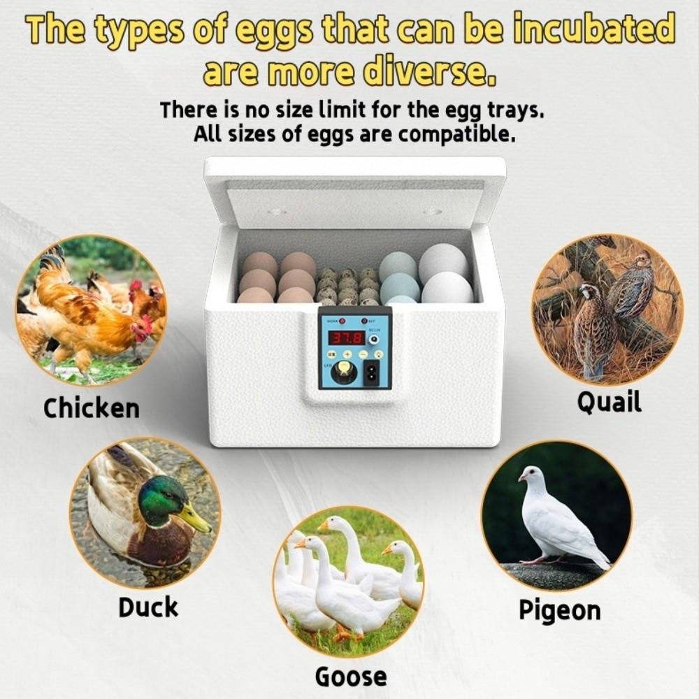 Digital Display Poultry Smart Incubator Foam Insulation Eggs Hatcher Machine Farm