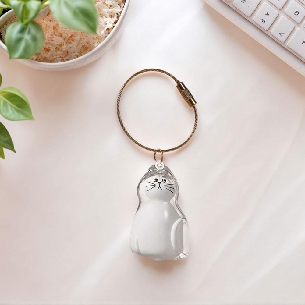 Katzen Schlüsselanhänger Transparenter Katzen Schlüsselanhänger Haarspeicherflasche Haarspeicherbox für Haustiere Katzenhaarspeicher Kapsel Schlüsselanhänger für Tierliebhaber