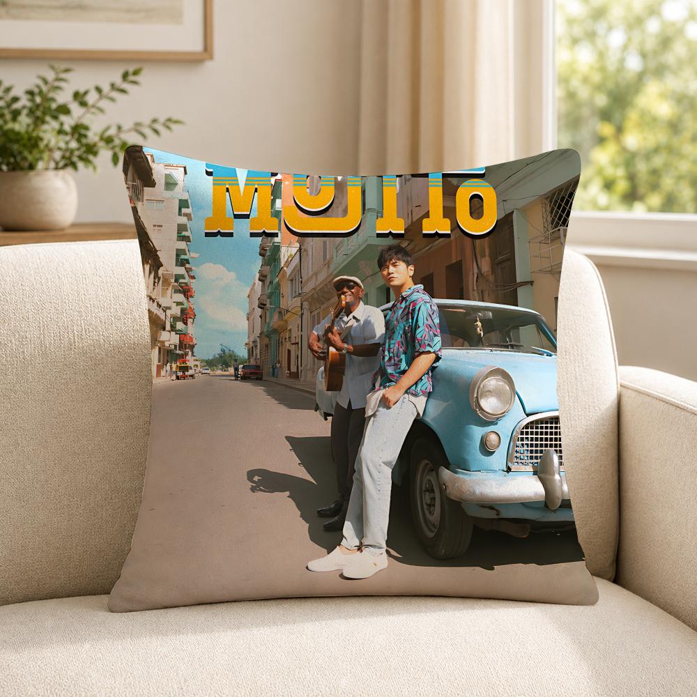 Singer JJay CChou Cushion Cover Soft Short Plush SkinFriendly Cushion Case for MultiScene Use