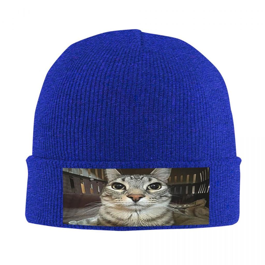 Cat Looking Directly At You Warm Knitted Cap Fashion Bonnet Hat Autumn Winter Outdoor Beanies Hats for Unisex Adult