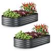 Galvanized Raised Garden Beds Outdoor 6×3×1 ft 2-Pack Planter for Gardening Vegetables Flowers Large Metal Garden Box Patented