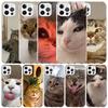 Pet Cat Funny Memes Soft Cover for iPhone 16 17 Air 15 14 Pro Max 16E Phone Case 13 Mini 12 11 7 SE 8 Print Pattern Fit Cases 16