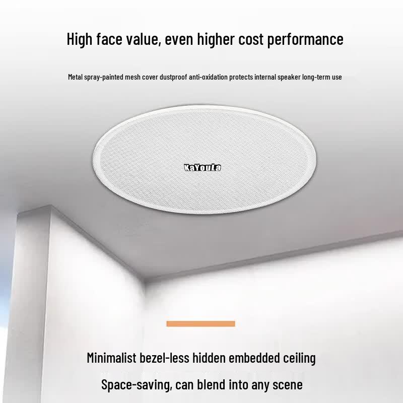 Kayuola Conference Audio Video System with 6.5-inch Ceiling Speakers (CN version)