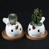 Cute Cartoon Animal Dolphin Succulent Flower Pot Creative Desktop Plant Decoration Ceramic Flower Pot