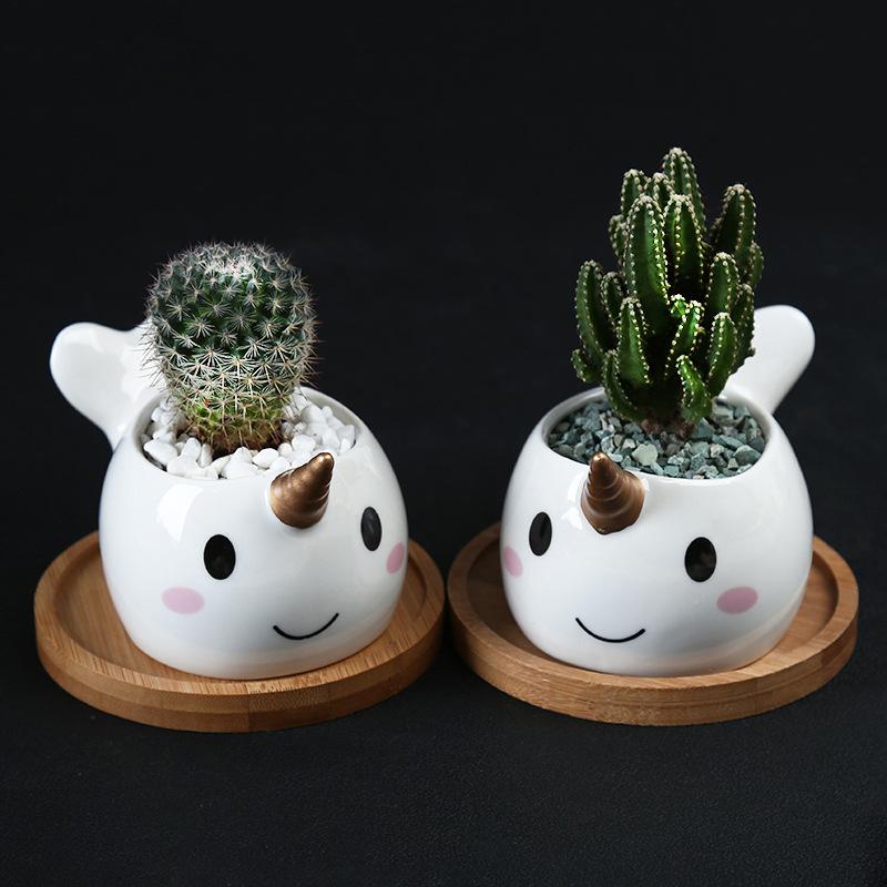 Cute Cartoon Animal Dolphin Succulent Flower Pot Creative Desktop Plant Decoration Ceramic Flower Pot