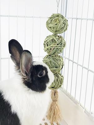 1 Stück Haustier Kaninchen Gras gewebter Ball Hängeschnur Kaninchen Schleifspielzeug