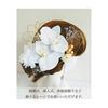 J's Select Phalaenopsis Orchid Flower Hair Accessories Set (10 Pcs) - Ideal for Japanese Traditional Attire, Weddings, Coming-of-Age Ceremonies,