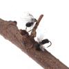 6pcs/Box Fly Fishing Flies Dry Fly Black Foam Ant for Riverine Trout, Panfish, Bass, Grayling, and Carp Fishing Lures