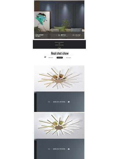 Nordic Modern LED Ceiling Light for Living Room and Bedroom