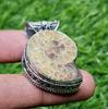 Natural Ammonite Fossil Pendant 925 Sterling Silver Pendant Fossil Pendant Gift for Her