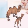 Animal Model Toy, 2pcs Miniature Wild Safari Wildlife World Animal Figures Desktop Decoration Bactrian Camel Model Toy Home Decor Gifts for Kid Childr