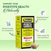Baidyanath Asli Ayurved Isabgol Psyllium Husk Powder 350 Gm Pack Of 1 for Gentle Digestive Support