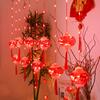 2022 New Year Red Lantern Curtain String Lights LED Spring Festival Fairy Light Street Festoon