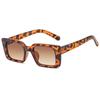 2025 European & American Style Retro Square Sunglasses - Trendy Women's Celebrity Fashion