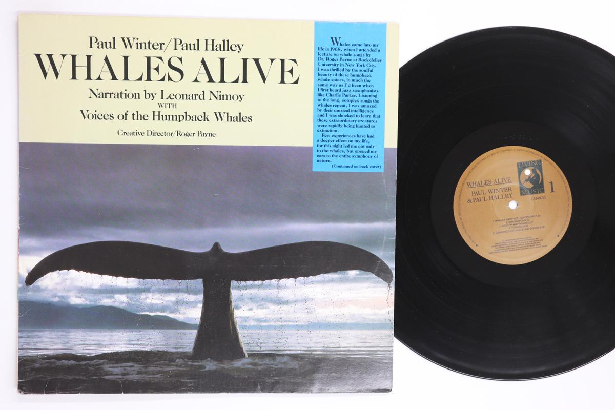 

LP Record PAUL WINTER PAUL HALLEY LEONARD N Whales Alive LM0013 LIVING MUSIC 1987 Europe New Age Easy Listening Used