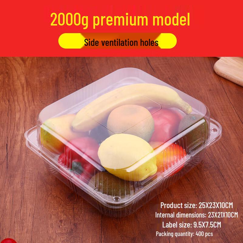 Shixun Disposable Transparent Fruit Containers with Lids (100-Pack)