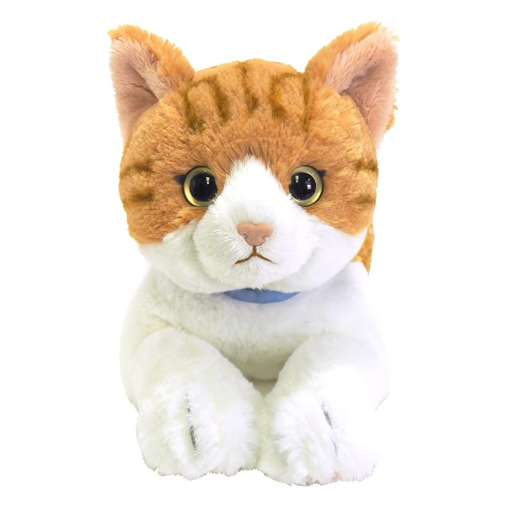 Sunlemon Hizaneko Chashiro Plush Toy 16x47x18cm Cute Cat Animal P-7802