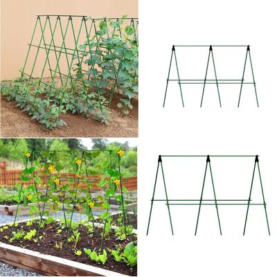Cucumber Trellis Detachable Practical Garden Trellis for Vines Fruits Squash