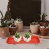5Pcs Plastic Rectangular Plant Tray Base Light Brown Flowerpot Water Catcher Drip Saucer Planter Tray Indoor Outdoor Accessory