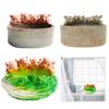 Cute Planter Pig Pot for Plant Indoor Succulent Planters Home Office Flower Decorations Cute Animals European Style