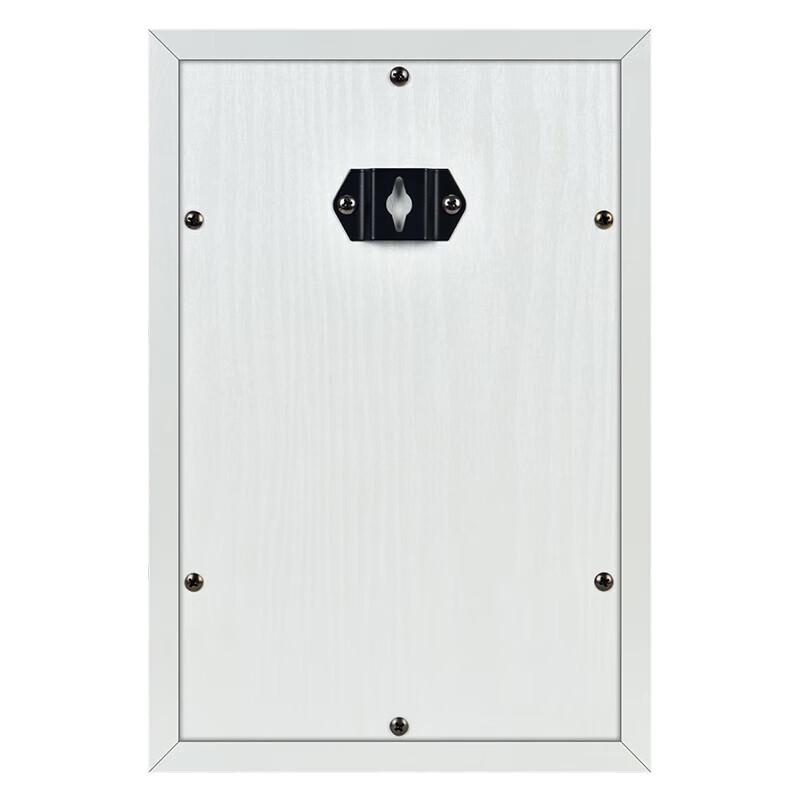 Lingque MS1883 IP Network Wall Speaker CN plug (adapter included)