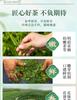 Premium Mingqian Biluochun Green Tea New Tea Xinyang Maojian Bean Fragrance Longjing Spring Tea Ceramic Gift Box Gift for Elders