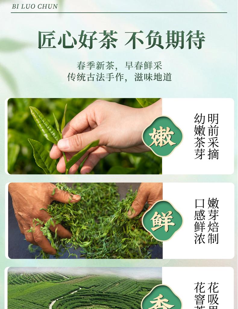 Premium Mingqian Biluochun Green Tea New Tea Xinyang Maojian Bean Fragrance Longjing Spring Tea Ceramic Gift Box Gift for Elders
