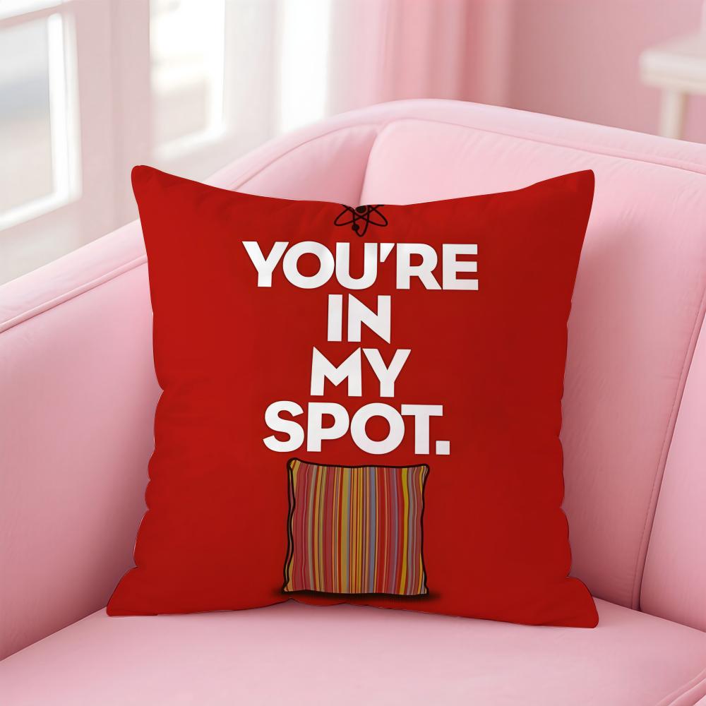 Fashion Geeky Humorous TThe Big Bang Theorys Cushion Cover Pillowcase Short Plush Invisible zipper Room Sofa Cushion Cover