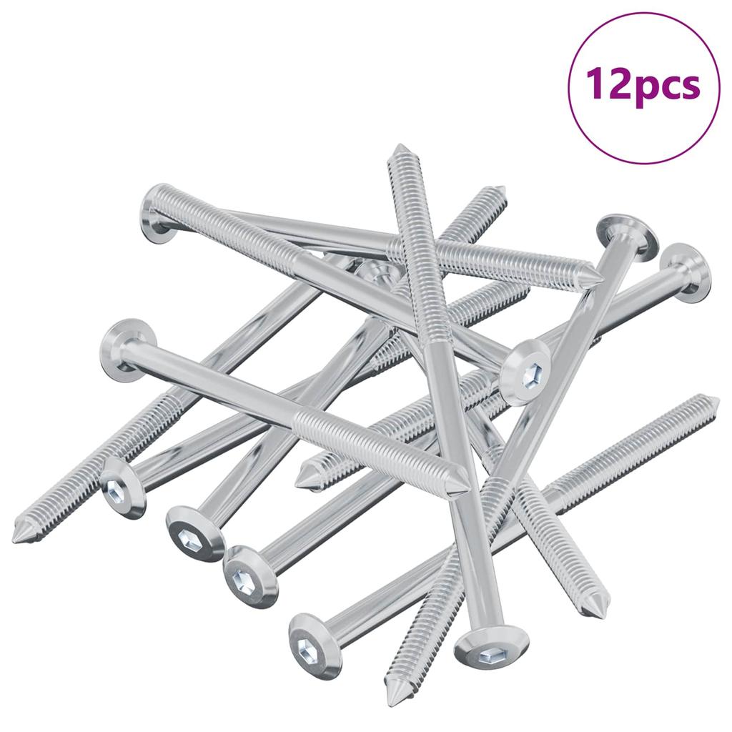 Screw 12 Pcs Silver M6 X 100 Mm Steel