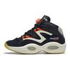 Question Pump Omni Lite