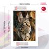Maine Coon Pattern  3pcs 100% Round Full Drill 5D DIY Diamond Painting Embroidery Cross Stitch Rhinestone Décor