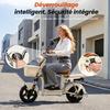 Elektrická koloběžka se sedadlem pro dospělé 14" AgileRide AE-B4, Velký dojezd 90-100 KM, Baterie 48V 20Ah, Motor 1200W