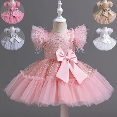 Babykleding Meisje Bruidsjurk Kinderen Verjaardagsfeest Prinsessenjurken Kinderen Bruiloftsceremonie Kostuum