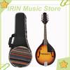 IRIN Smart Mandolin 8-String Guitar A Style Electric Slient Mandolin Stringed Instruments with Bag Mini Guitar Parts&Accessories