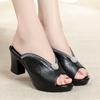 Fashion Fashion Crystal Platform Sandals Women 2025 Peep Toe Casual Slippers Woman Summer Shoes on Heels Outdoor Black High Heel Slides