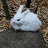 15cm Mini Realistic Fashion Simulation Rabbit Party Home Plush Toy Animal Decoration Bunny Model Gift