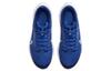 Nike Air Zoom Pegasus 40 GS 'Game Royal' DX2498-400