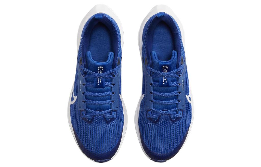 Nike Air Zoom Pegasus 40 GS 'Game Royal' DX2498-400