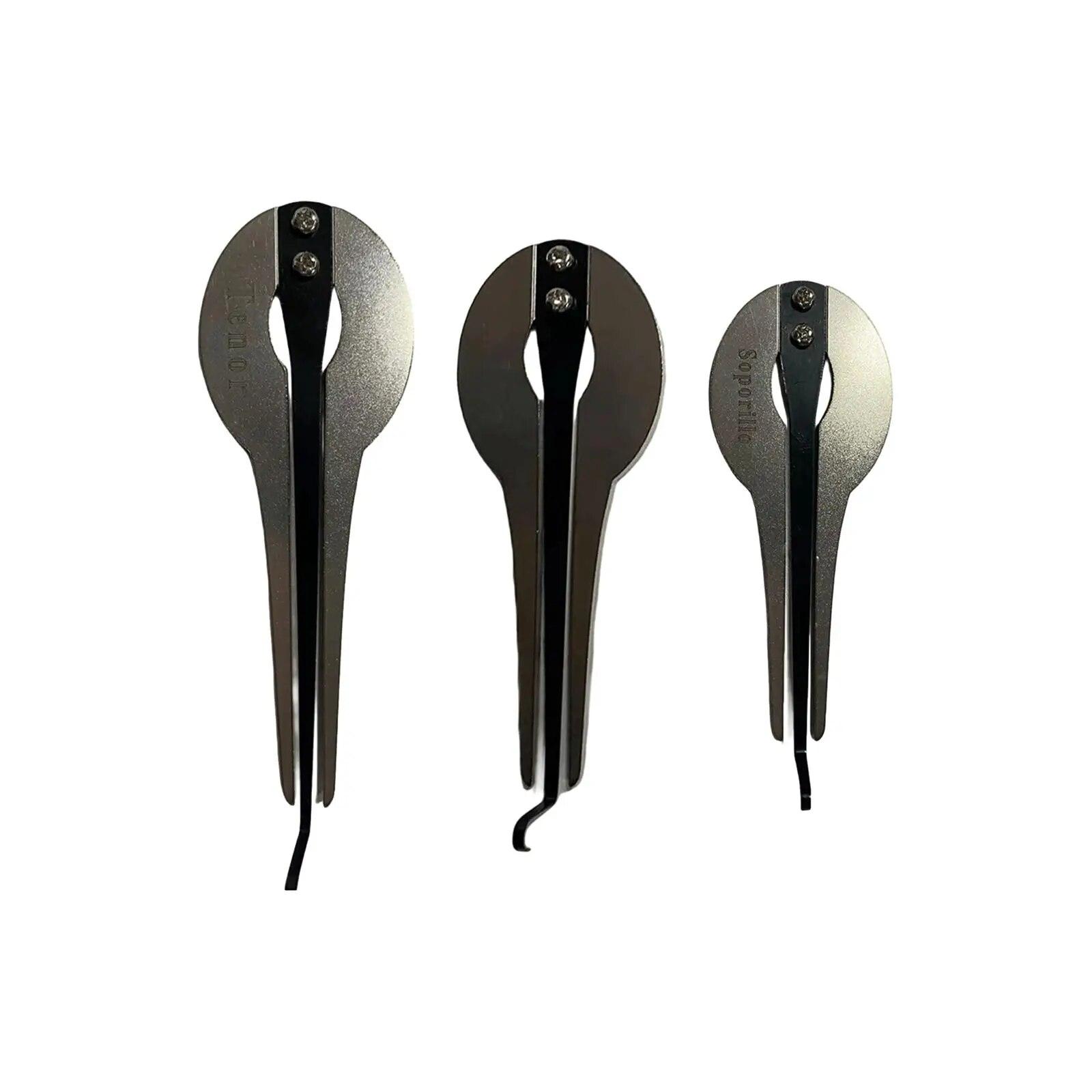 

Портативная варганная русская гармоника для начинающих, красивая звуковая этническая русская гармошка для детей, праздничные подарки