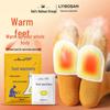 Haishi Hainuo Self-Heating Foot Patches (10 Count)