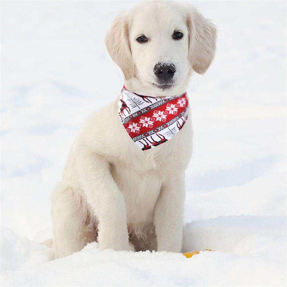 Nya Husdjurskostymtillbehör Tryckta haklappar Husdjursbandana Triangulär halsduk Hundkatt Halsband