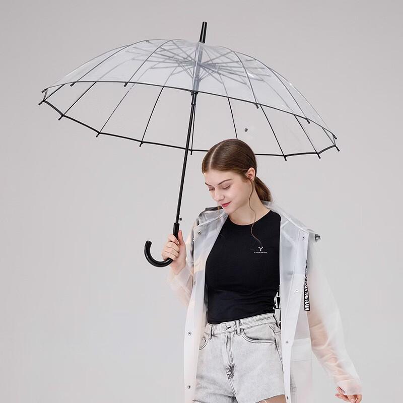 Transparent Long Handle Umbrella