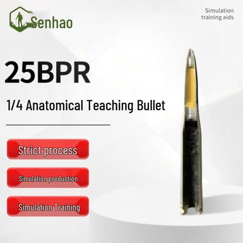 Senhao 25BPR Quarter Anatomical Bomb Training Model