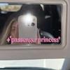 Passenger Princess Personalized Car Mirror Sticker
