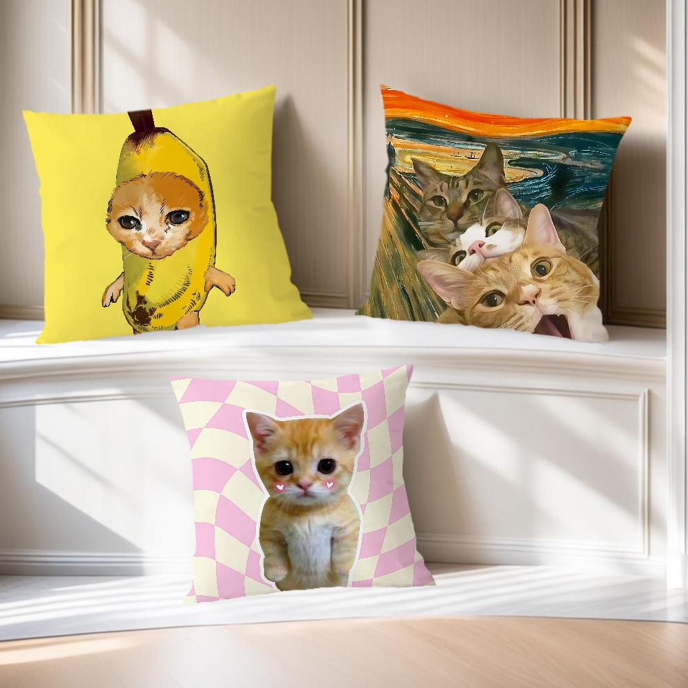 banana cat meme abstract funny painting Comfortable soft Pillow Case for Sofa Living Room Home office Decor Protective Covers