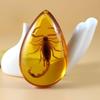 Creative Amber Scorpion Necklace Natural Insect Specimen Resin Droplet Shaped Pendant Sweater Chain Jewelry Pendant Jewelry Gift