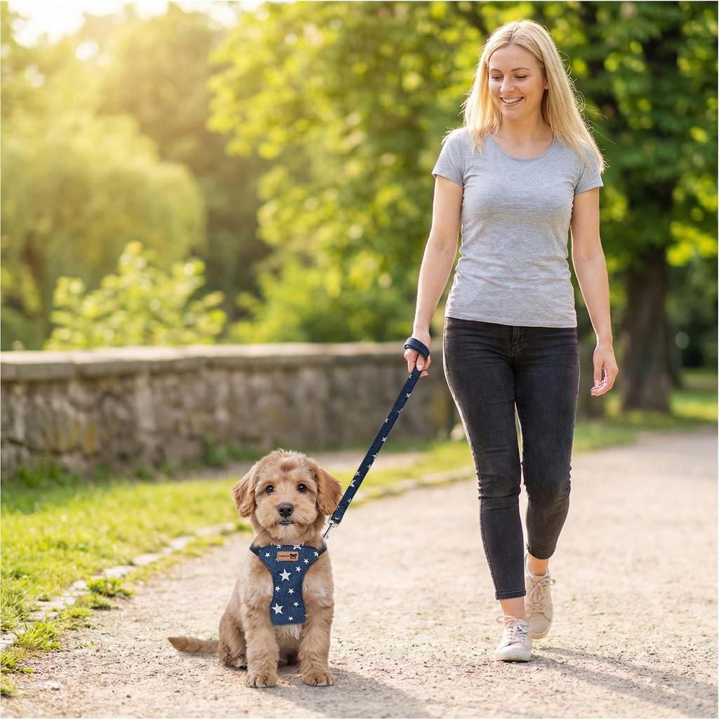 Harness for Dogs Adjustable Quick-Drying Tool Dog Chest Harness for Small Medium Puppies Pet Training Outdoor Garden Yard Lawn