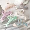Nacreous Fish Bone Hair Clip Slip Resistant Design Lightweight Hairpin For Women Girls Soft Feel Wear