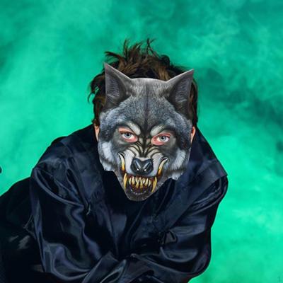Wolf Head Cosplay Mask, Lightweight Fantasy Scary Animal Mask for Party, Halloween, Festival