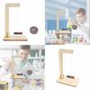 Educational Science Experiment Compass Diy Material Pack For Kindergarten Elementary School Kids